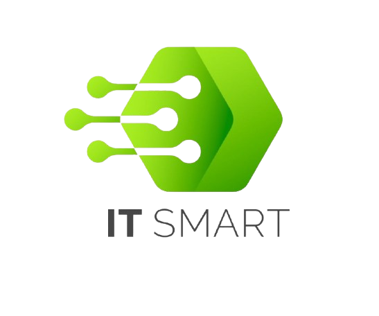 IT SMART Logo